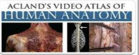 Acland Anatomy (Anatomía Humana)