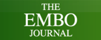 The EMBO journal